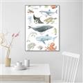 Picture of Sea Life _GroupedProduct_Rectangle_Portrait_Canvas_Framed_