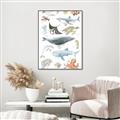 Picture of Sea Life _GroupedProduct_Rectangle_Portrait_Canvas_Framed_