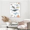 Picture of Sea Life _GroupedProduct_Rectangle_Portrait_Canvas_Framed_