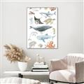 Picture of Sea Life _GroupedProduct_Rectangle_Portrait_Canvas_Framed_