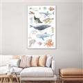 Picture of Sea Life _GroupedProduct_Rectangle_Portrait_Canvas_Framed_