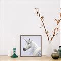 Picture of Purple Unicorn _GroupedProduct_Square_Canvas_Framed_