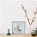Picture of Blue Unicorn _GroupedProduct_Square_Canvas_Framed_