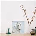 Picture of Blue Unicorn _GroupedProduct_Square_Canvas_Framed_