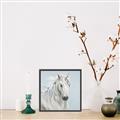 Picture of Blue Unicorn _GroupedProduct_Square_Canvas_Framed_