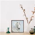 Picture of Blue Unicorn _GroupedProduct_Square_Canvas_Framed_