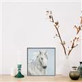 Picture of Blue Unicorn _GroupedProduct_Square_Canvas_Framed_