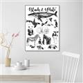 Picture of Black and white Animals _GroupedProduct_Rectangle_Portrait_Canvas_Framed_
