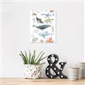 Picture of Sea Life _GroupedProduct_Rectangle_Portrait_Unframed_Print_Only_