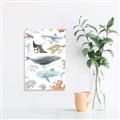 Picture of Sea Life _GroupedProduct_Rectangle_Portrait_Unframed_Print_Only_