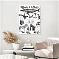Picture of Black and white Animals _GroupedProduct_Rectangle_Portrait_Unframed_Print_Only_