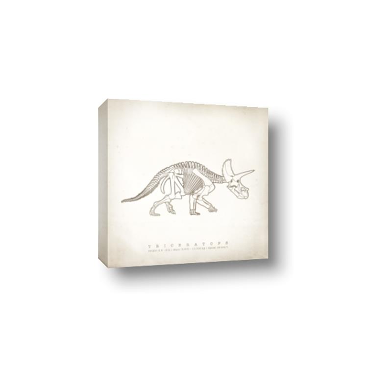 Picture of Learning Triceratops _GroupedProduct_Square_Canvas_