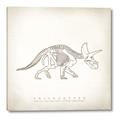 Picture of Learning Triceratops _GroupedProduct_Square_Canvas_