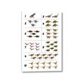Picture of Dino Number Chart I _GroupedProduct_Rectangle_Portrait_Canvas_