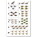 Picture of Dino Number Chart I _GroupedProduct_Rectangle_Portrait_Canvas_