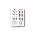 Picture of Dino Number Chart II  _GroupedProduct_Rectangle_Portrait_Canvas_