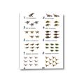 Picture of Dino Number Chart II  _GroupedProduct_Rectangle_Portrait_Canvas_