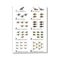 Picture of Dino Number Chart II  _GroupedProduct_Rectangle_Portrait_Canvas_