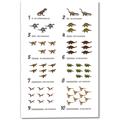 Picture of Dino Number Chart II  _GroupedProduct_Rectangle_Portrait_Canvas_