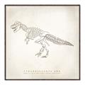 Picture of Learning T-Rex _GroupedProduct_Square_Canvas_Framed_