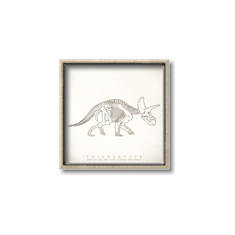 Picture of Learning Triceratops _GroupedProduct_Square_Canvas_Framed_