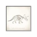 Picture of Learning Triceratops _GroupedProduct_Square_Canvas_Framed_