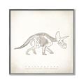 Picture of Learning Triceratops _GroupedProduct_Square_Canvas_Framed_