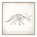 Picture of Learning Triceratops _GroupedProduct_Square_Canvas_Framed_