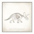 Picture of Learning Triceratops _GroupedProduct_Square_Canvas_Framed_