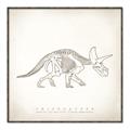 Picture of Learning Triceratops _GroupedProduct_Square_Canvas_Framed_