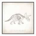 Picture of Learning Triceratops _GroupedProduct_Square_Canvas_Framed_
