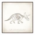 Picture of Learning Triceratops _GroupedProduct_Square_Canvas_Framed_