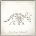 Picture of Learning Triceratops _GroupedProduct_Square_Canvas_Framed_