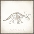 Picture of Learning Triceratops _GroupedProduct_Square_Canvas_Framed_