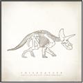 Picture of Learning Triceratops _GroupedProduct_Square_Canvas_Framed_