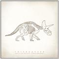Picture of Learning Triceratops _GroupedProduct_Square_Canvas_Framed_