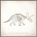 Picture of Learning Triceratops _GroupedProduct_Square_Canvas_Framed_