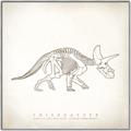 Picture of Learning Triceratops _GroupedProduct_Square_Canvas_Framed_