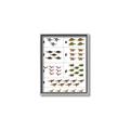 Picture of Dino Number Chart I _GroupedProduct_Rectangle_Portrait_Canvas_Framed_