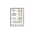 Picture of Dino Number Chart I _GroupedProduct_Rectangle_Portrait_Canvas_Framed_