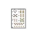 Picture of Dino Number Chart I _GroupedProduct_Rectangle_Portrait_Canvas_Framed_