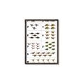 Picture of Dino Number Chart I _GroupedProduct_Rectangle_Portrait_Canvas_Framed_