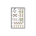 Picture of Dino Number Chart I _GroupedProduct_Rectangle_Portrait_Canvas_Framed_