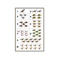 Picture of Dino Number Chart I _GroupedProduct_Rectangle_Portrait_Canvas_Framed_
