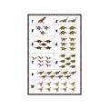 Picture of Dino Number Chart I _GroupedProduct_Rectangle_Portrait_Canvas_Framed_