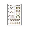 Picture of Dino Number Chart I _GroupedProduct_Rectangle_Portrait_Canvas_Framed_