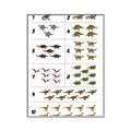 Picture of Dino Number Chart I _GroupedProduct_Rectangle_Portrait_Canvas_Framed_