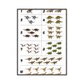 Picture of Dino Number Chart I _GroupedProduct_Rectangle_Portrait_Canvas_Framed_