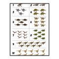 Picture of Dino Number Chart I _GroupedProduct_Rectangle_Portrait_Canvas_Framed_