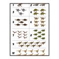 Picture of Dino Number Chart I _GroupedProduct_Rectangle_Portrait_Canvas_Framed_